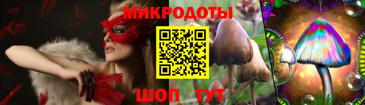 Галлюциногенные грибы Psilocybine cubensis Электрогорск